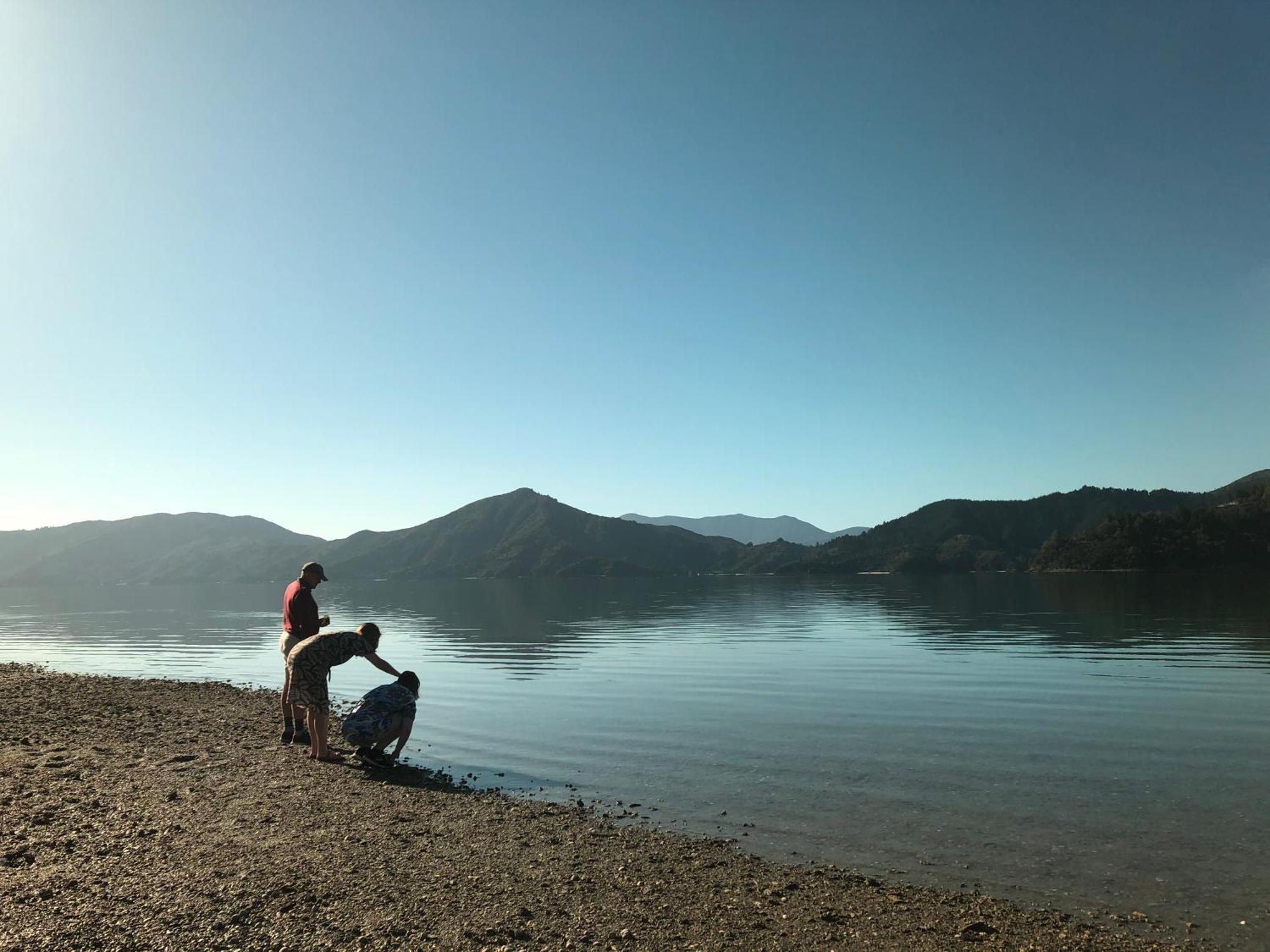 Raetihi Lodge Kenepuru Sounds 外观 照片