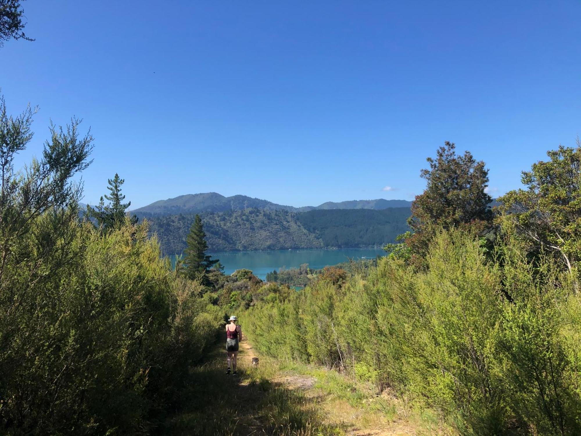 Raetihi Lodge Kenepuru Sounds 外观 照片