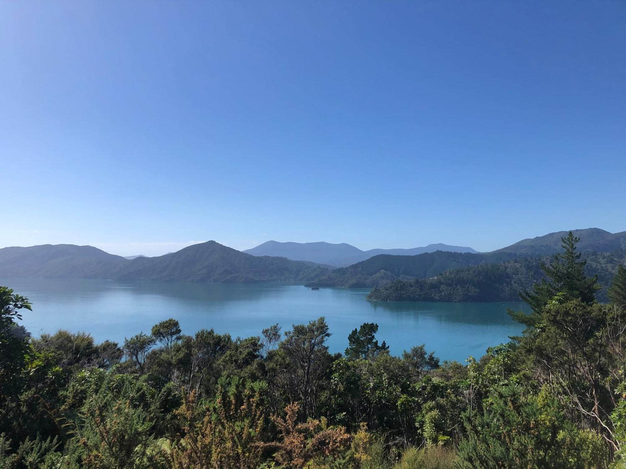 Raetihi Lodge Kenepuru Sounds 外观 照片